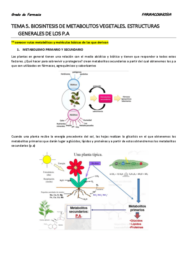 Miniatura del documento TEMA 5.pdf