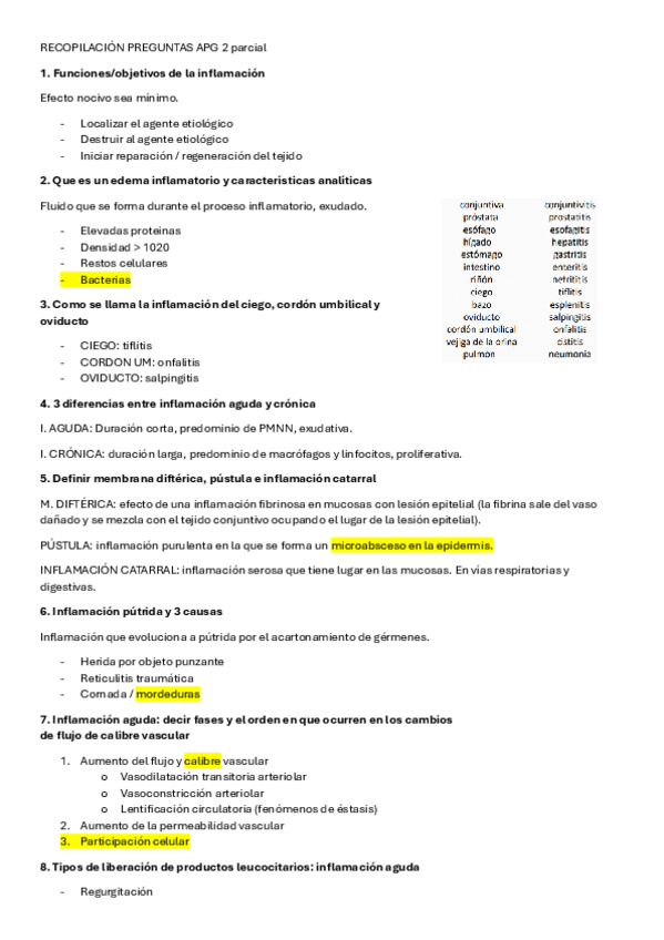 Miniatura del documento RECOPILACION-PREGUNTAS-contestadas-APG-2-parcial.pdf
