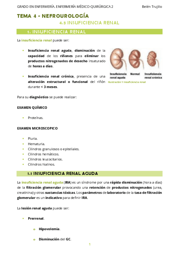Miniatura del documento MQ2-Tema4-Nefrourologia-3InsuficienciaRenal.pdf