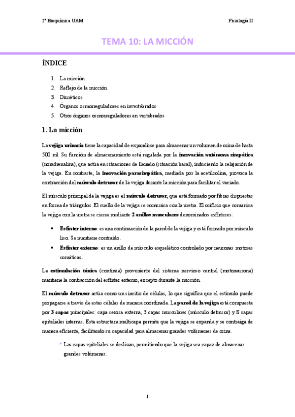 Miniatura del documento TEMA-10.-La-miccion..pdf