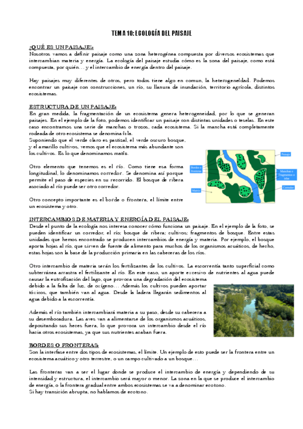 Miniatura del documento TEMA-10-ECOLOGIA-DEL-PAISAJE.pdf