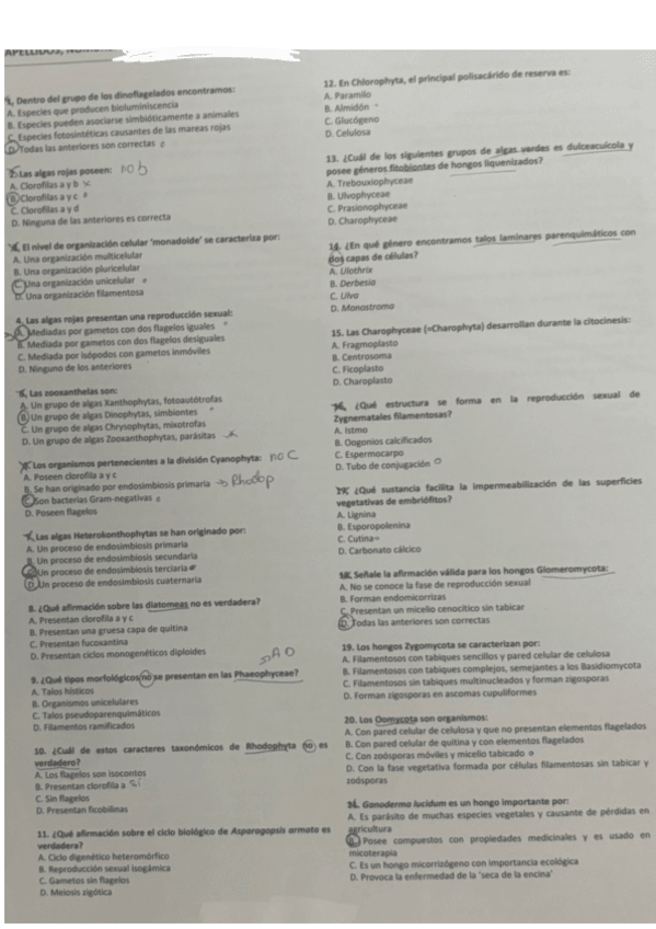 Miniatura del documento Examen-2024-Ordinaria--1.pdf