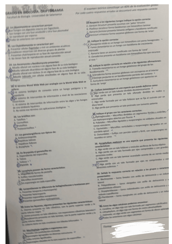 Miniatura del documento Examen-2024-Ordinaria-2.pdf