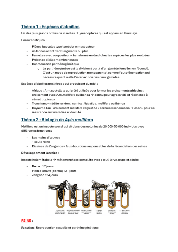 Miniatura del documento Fiche-generale-CM-et-SEM-API.pdf