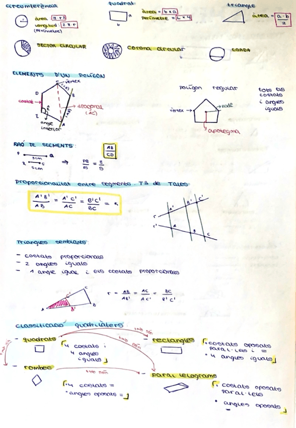 Miniatura del documento Apunts-Blox-2-la-mesura.jpeg