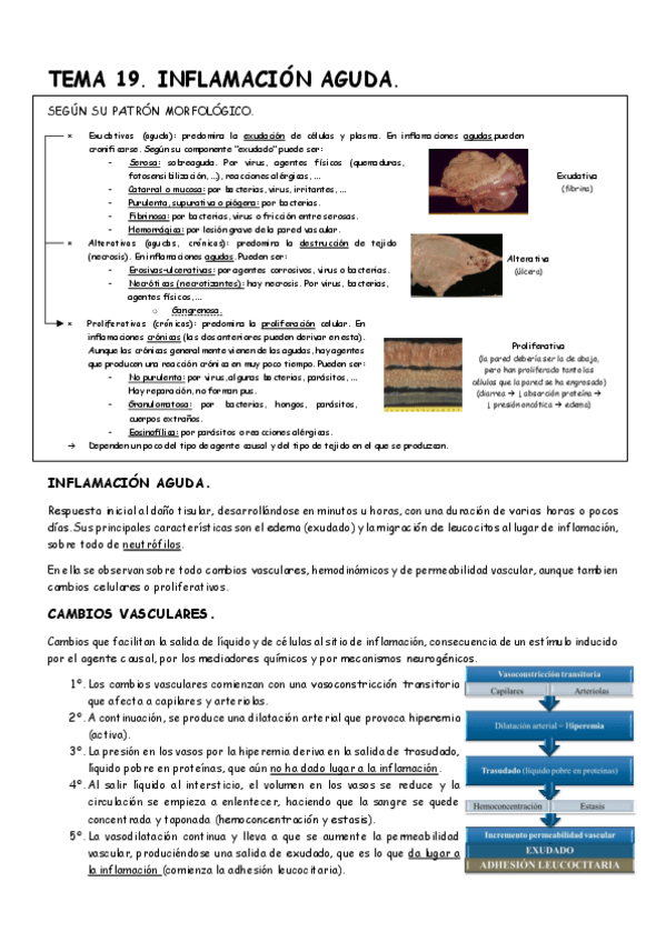 Miniatura del documento Tema-19-APG.pdf