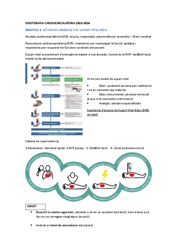 Miniatura del documento PRACTIQUES-1-2-3-5-FISIOTERAPIA-CARDIO-2023.pdf