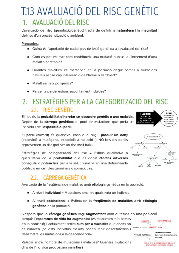 Miniatura del documento T.13-INTRODUCCIO-A-LESTIMA-DEL-RISC-GENETIC-EN-PROCES.pdf
