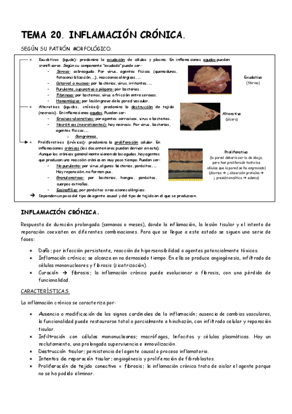Miniatura del documento Tema-20-APG.pdf
