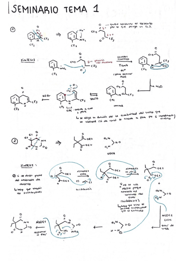 Miniatura del documento Seminario-Tema-1-Sintesis.pdf