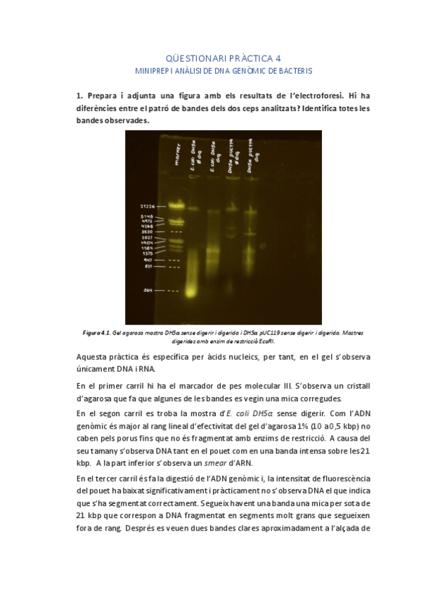 Miniatura del documento Questionari-Practica-4.pdf