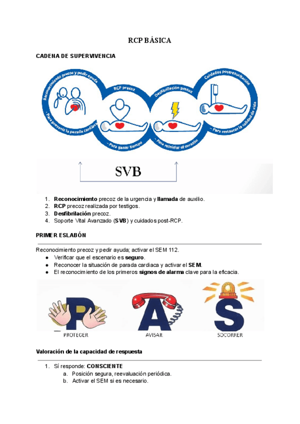 Miniatura del documento RCP.pdf