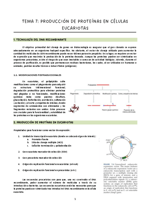 Miniatura del documento Tema-7.pdf