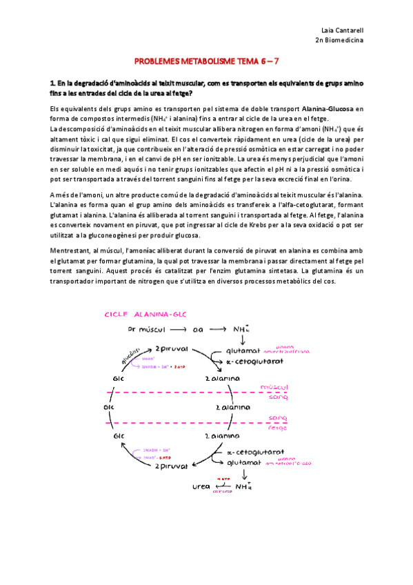 Miniatura del documento Problemes-6-7.-Metabolisme-i-regulacio.pdf