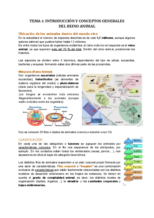 Miniatura del documento TEMA 1-Introducción y conceptos generales del reino animal.pdf