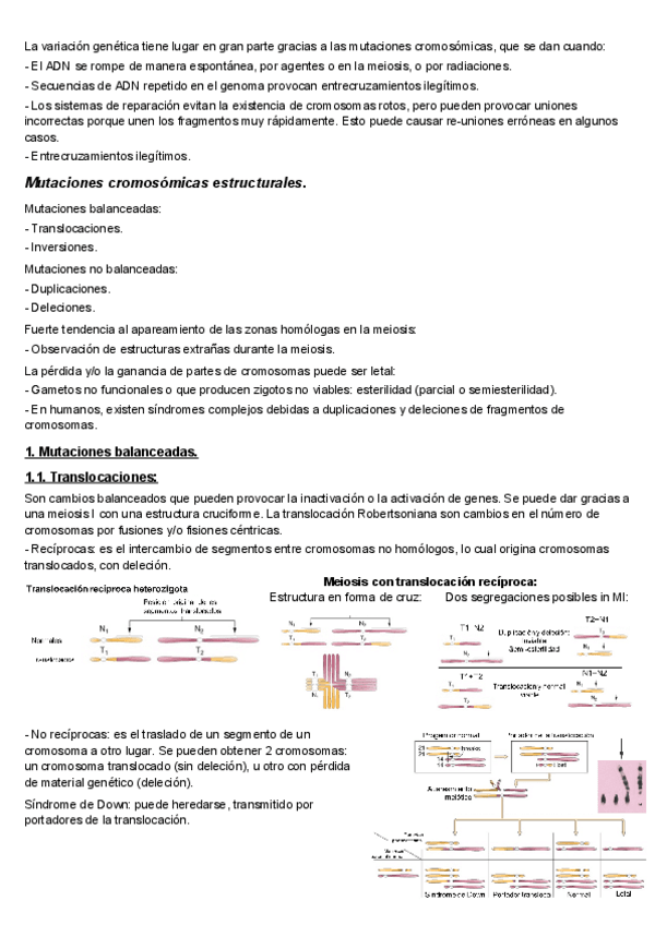 Miniatura del documento T7-Mutaciones-cromosomicas.pdf