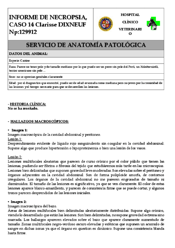 Miniatura del documento Informe-de-necropsia-APE.pdf