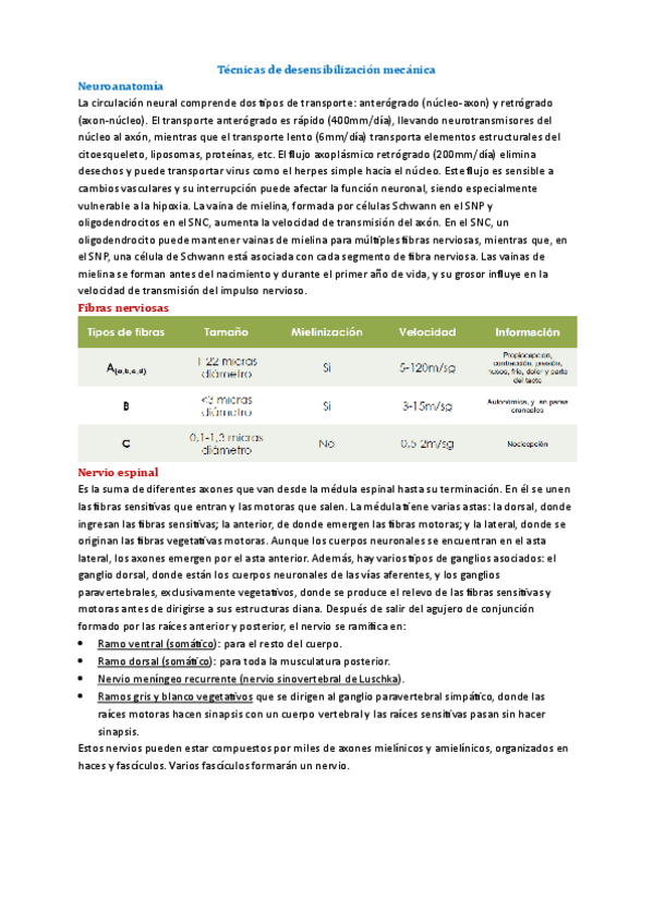 Miniatura del documento Tema-10-Met-Neuro.pdf