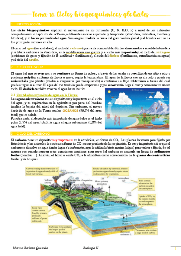 Miniatura del documento Tema-10.-Ciclos-biogeoquimicos-globales.pdf