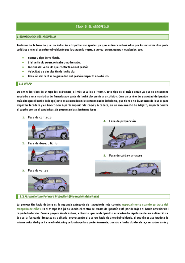 Miniatura del documento TEMA-5-Seguridad-vial.pdf