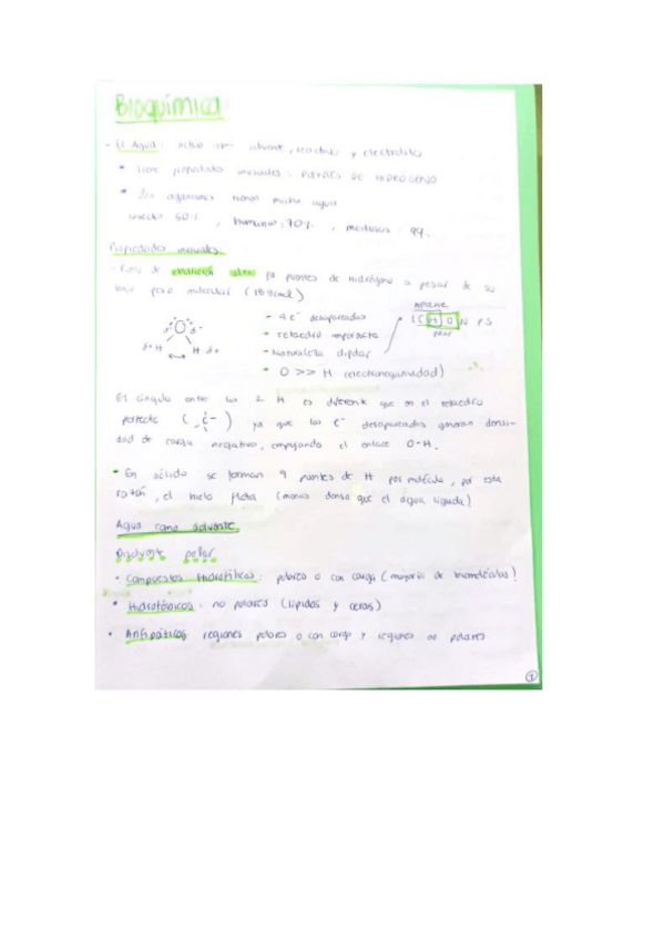 Miniatura del documento APUNTES-BIOQUIMICA.pdf