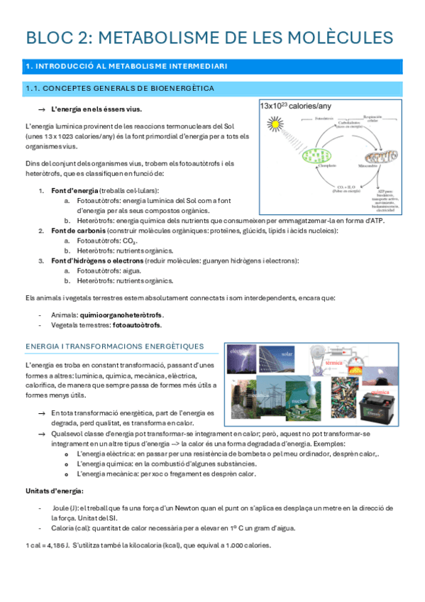 Miniatura del documento METABOLISME-DE-BIOMOLECULES-bloc-2.pdf