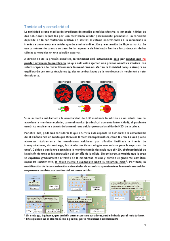 Miniatura del documento Resumen-tonicidad-y-osmolaridad.pdf