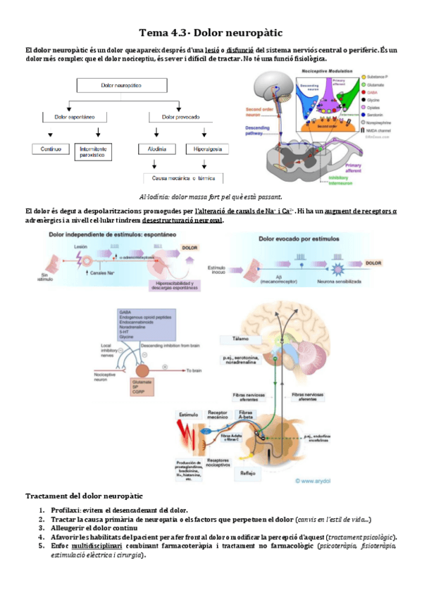 Miniatura del documento 4.3-Dolor-neuropatic.pdf