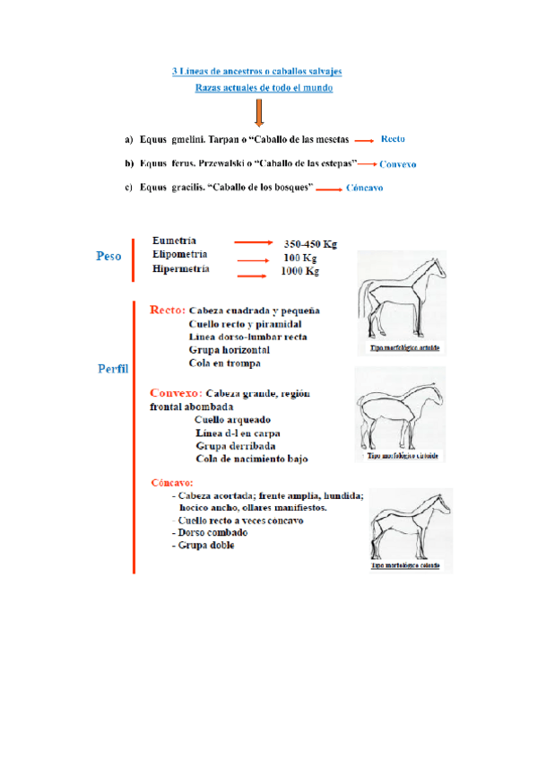 Miniatura del documento Tabla-razas.pdf
