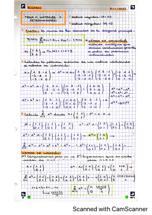 Miniatura del documento Tema-1-Matrices-y-determinantes.pdf
