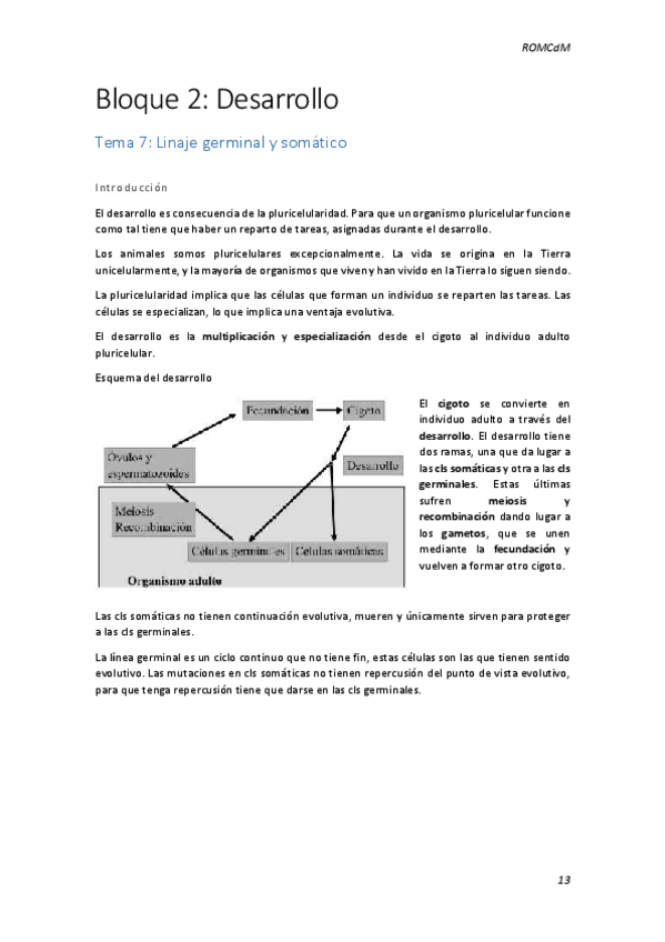 Miniatura del documento Bloque 2 ROM.pdf