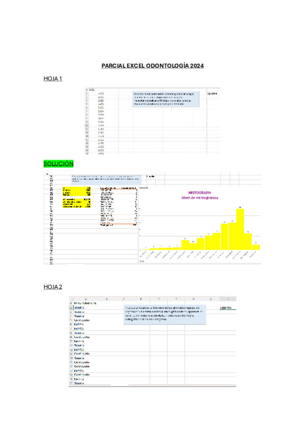 Miniatura del documento PARCIAL-EXCEL-2024-RESUELTO.pdf