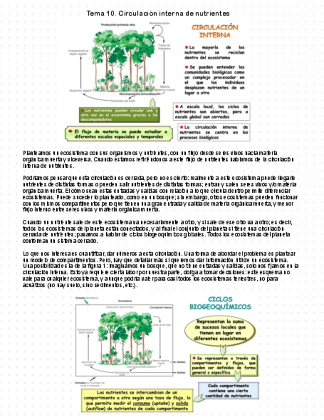 Miniatura del documento Tema-10.pdf