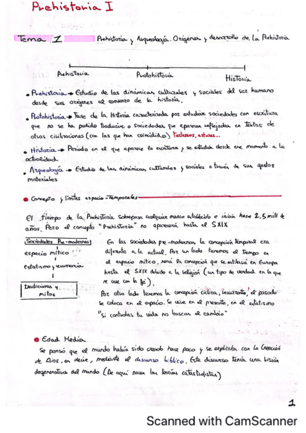 Miniatura del documento prehistoria-tem-1-8.-ALMUDENA-HERNANDO.pdf