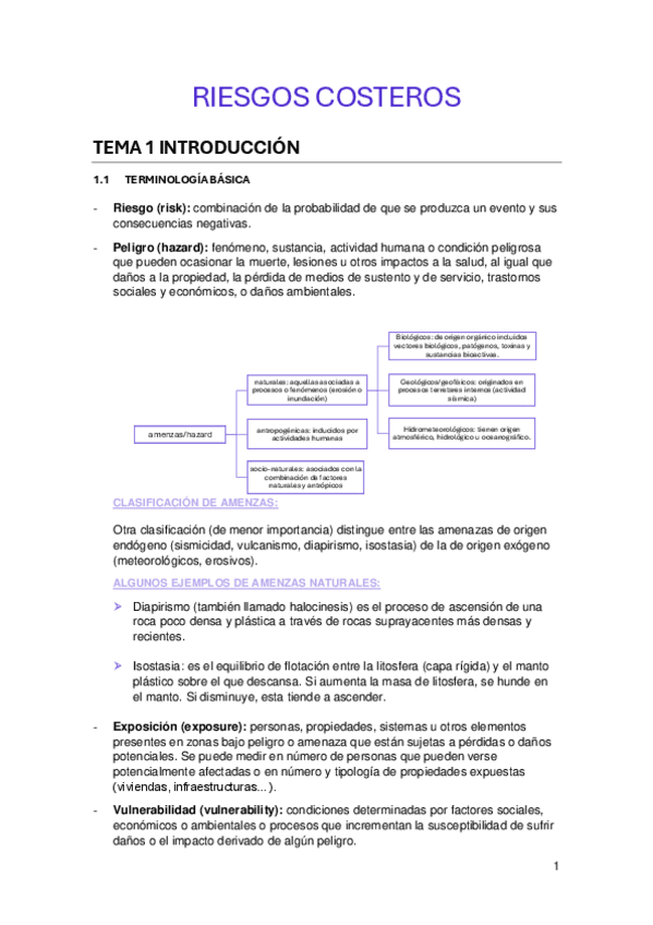 Miniatura del documento RIESGOS-COSTEROS-T1-T2-y-T3.pdf