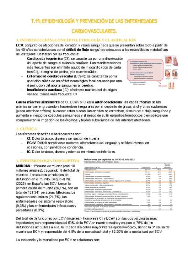 Miniatura del documento T.19.pdf
