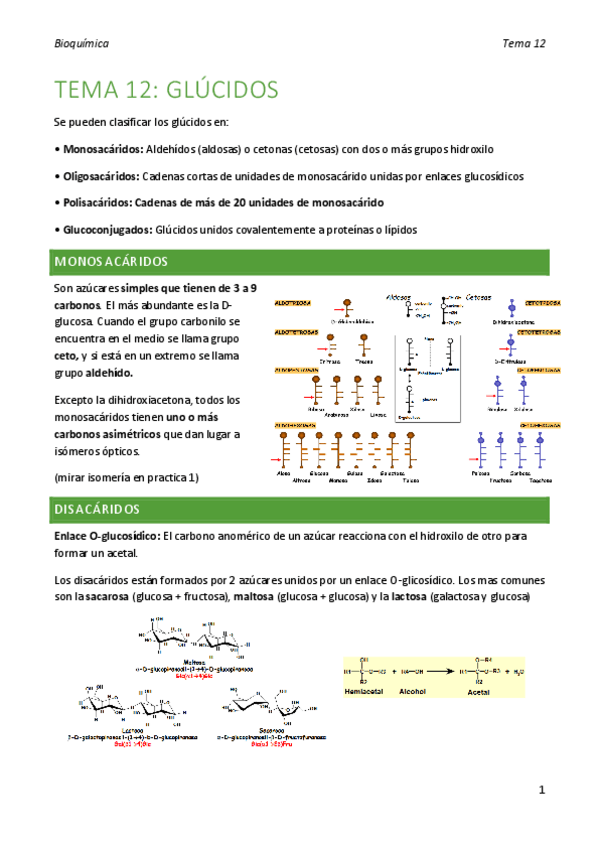 Miniatura del documento bioquimica-tema-12.pdf