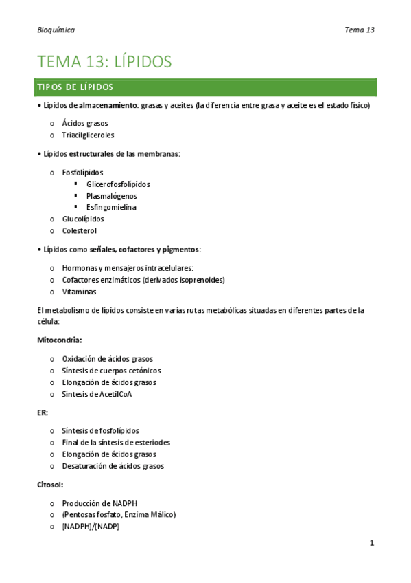 Miniatura del documento bioquimica-tema-13.pdf