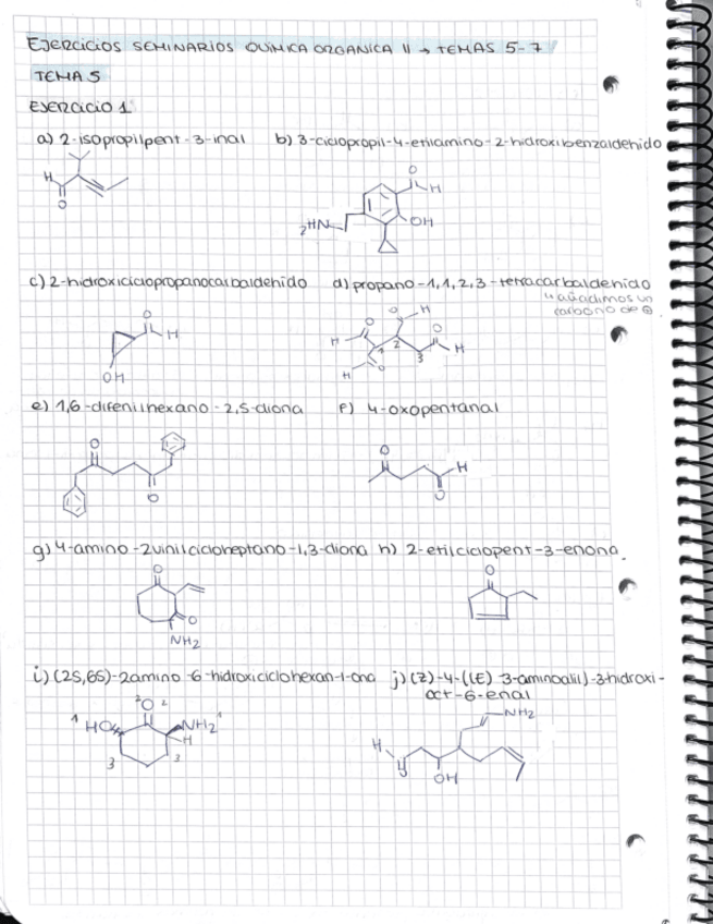 Miniatura del documento seminario-tema-5-QOII.pdf