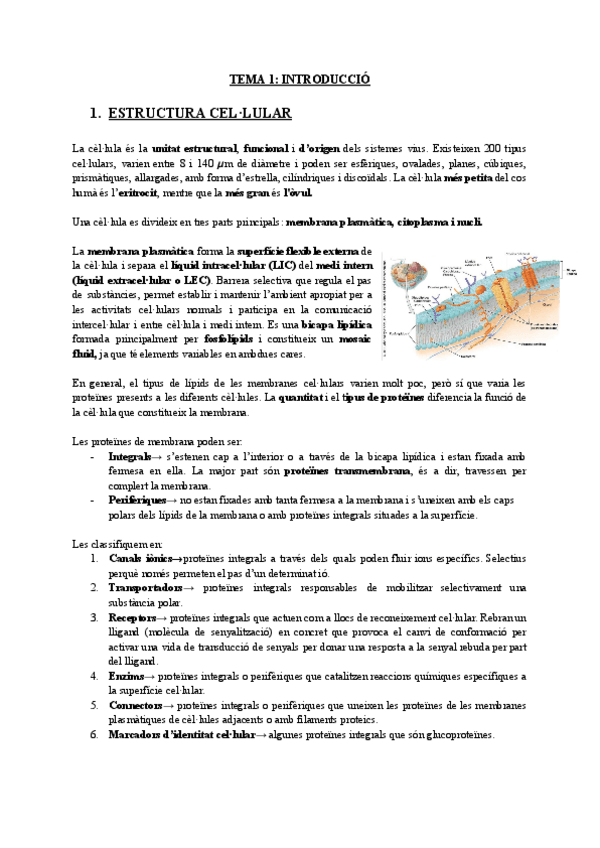 Miniatura del documento TEMA-1-INTRODUCCIO-2.pdf