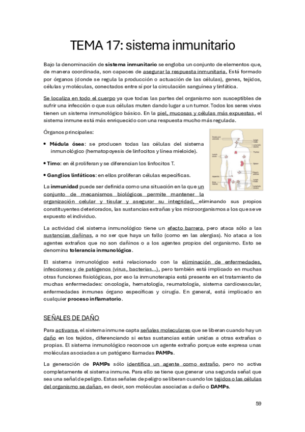 Miniatura del documento Apuntes-Fisiologia-II-Inmuno.pdf