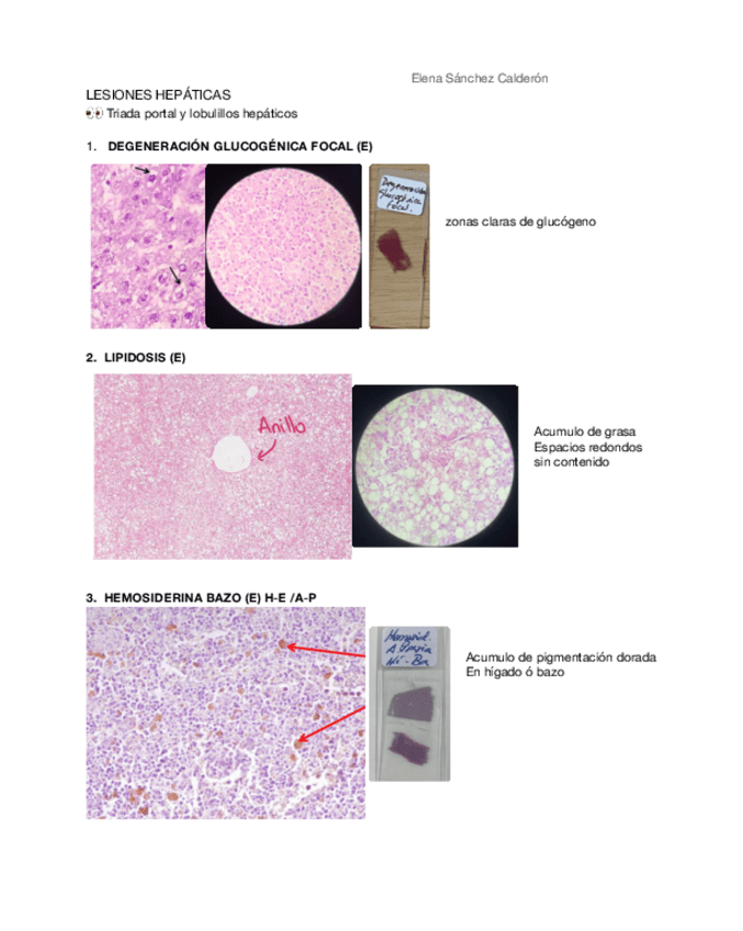 Miniatura del documento IMAGENES-PRACTICO-APG-1.1.pdf