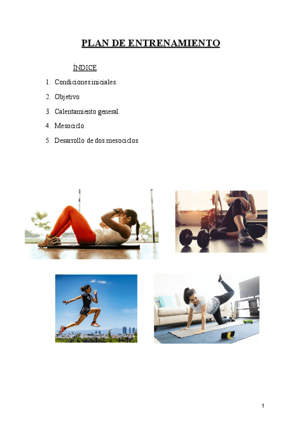 Miniatura del documento PLAN-DE-ENTRENAMIENTO.pdf