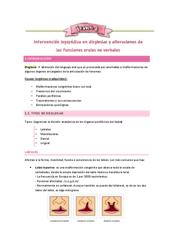 Miniatura del documento Tema-6-Int-HVA-2024.pdf