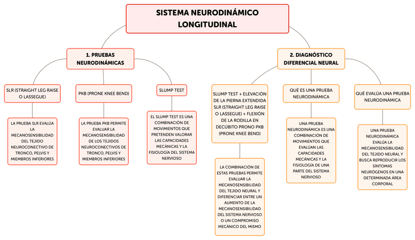 Miniatura del documento SISTEMA-NEURODINAMICO-LONGITUDINAL-2.pdf