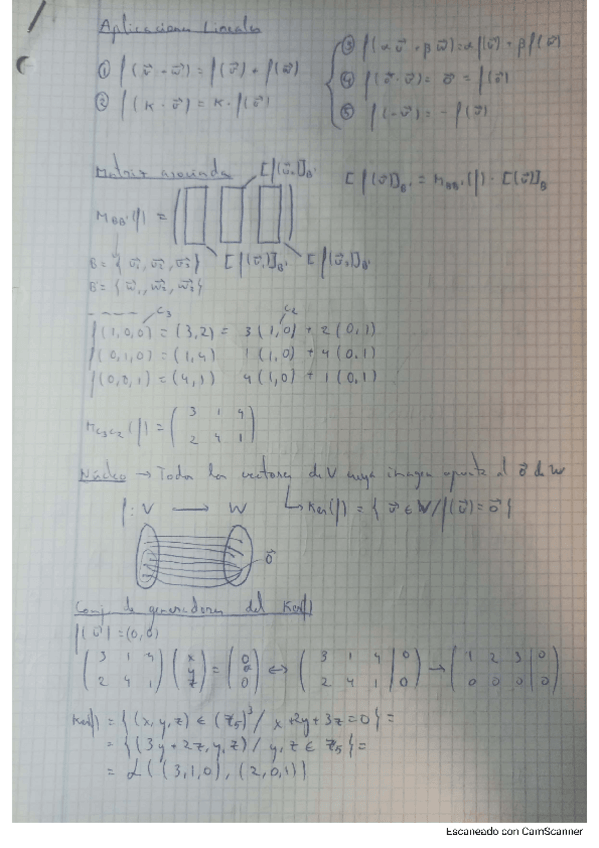Miniatura del documento resumenTema4.pdf