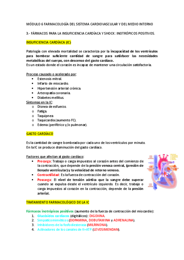 Miniatura del documento MODULO-6.3.pdf