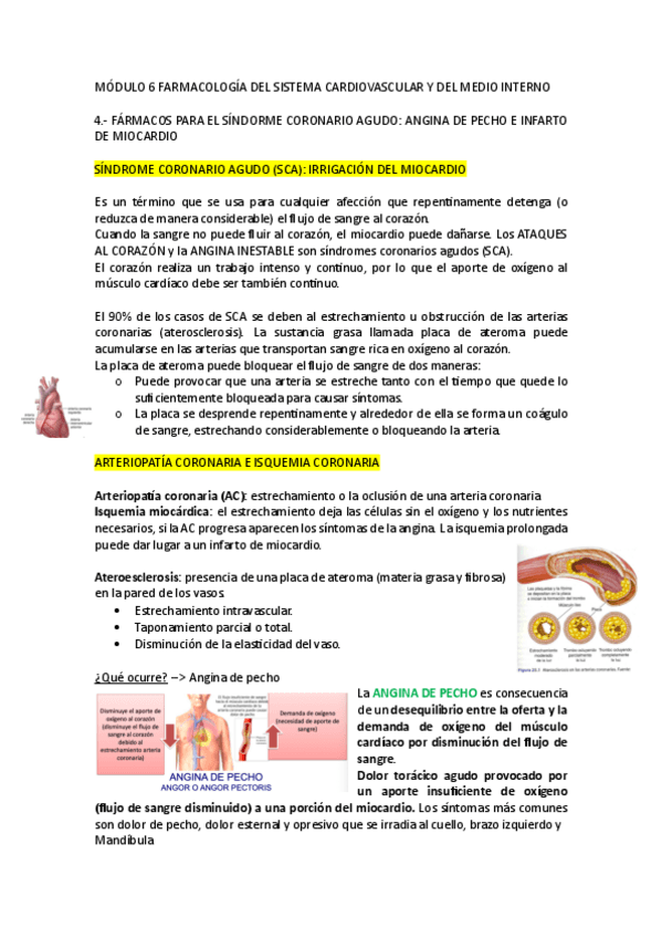 Miniatura del documento MODULO-6.4.pdf