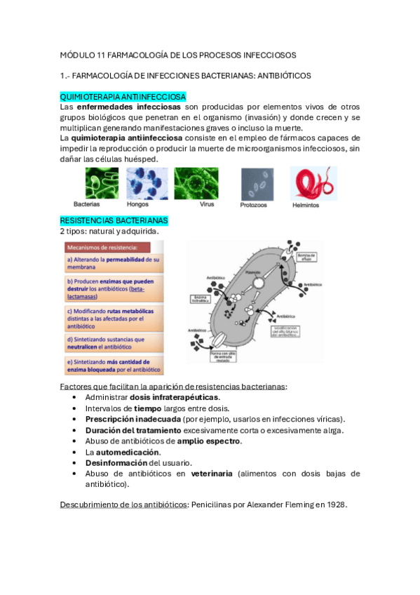 Miniatura del documento MODULO-11.1.pdf