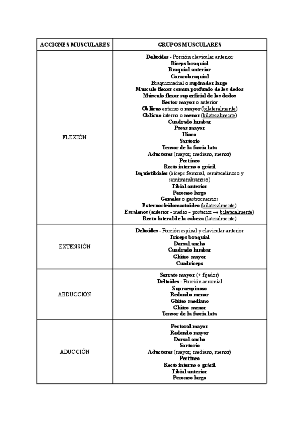 Miniatura del documento TEMARIO-1er-PARCIAL-ACCIONES-MUSCULARES.pdf